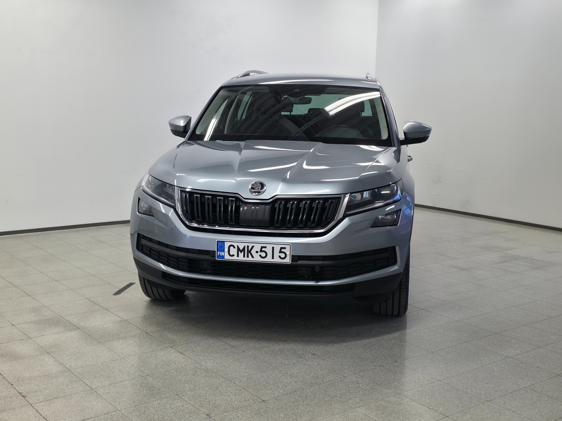Skoda Kodiaq 2019, photo 2/12