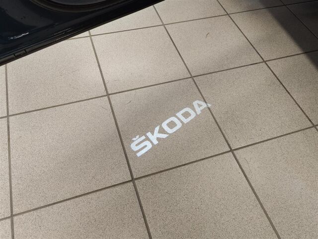 SKODA Karoq 2019 1,5 TSI 4x4 Style DSG Autom.