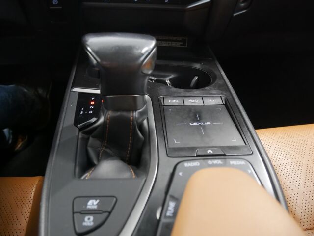 LEXUS UX 2020 250h AWD Premium