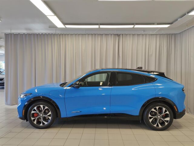 FORD Mustang Mach-E 2024 98kWh 351hv AWD 5-ovinen